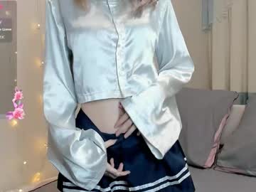 porcelaindo11