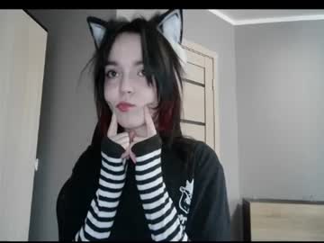 swet kitten
